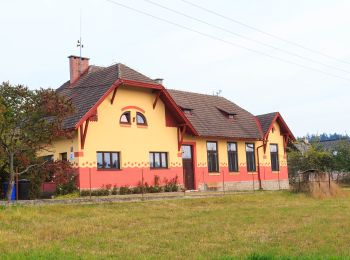 Excursión A pie Přívrat - [Ž] Zhořský kopec - Pod Lysinou - Photo