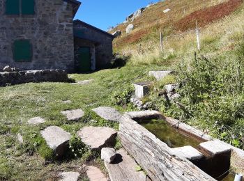Trail On foot Le Valtin - Sentier des roches - Photo