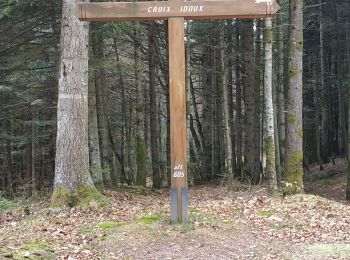 Randonnée V.T.T. La Bourgonce - sortie vtt du 07042019 la bourgonce - Photo