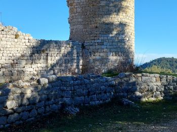 Tocht Stappen Rougiers - Castrum de Rougiers après modification N2 - Photo