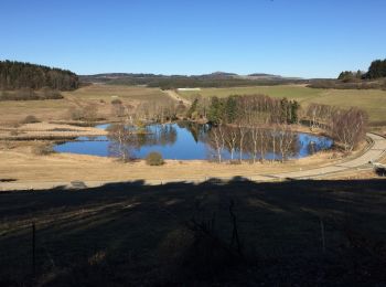 Randonnée A pied Lind - Booser Doppelmaartour - Photo