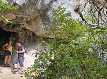 Trail Walking Talloires-Montmin - réserve Roc de chere - Photo