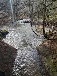 Tour Wandern Libin - Reconnaissance des différents parcours marche ADEPS de Villance. - Photo