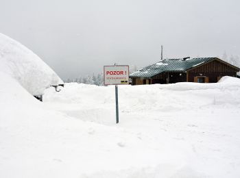 Tour Zu Fuß Odrodzenie - [Z] U Dívčí lávky - Špindlerova bouda - Photo