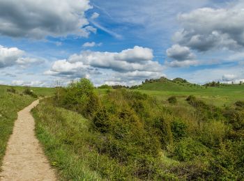 Tour Zu Fuß Calden - Habichtswaldsteig - Extratour Zierenberg - Photo