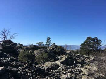 Trail Walking Rosières - Tour du mont Jalore via Roiron - Photo