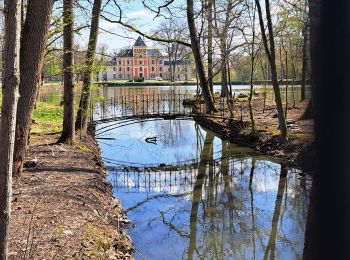 Trail Walking Auffargis - les essarts le roi - Photo