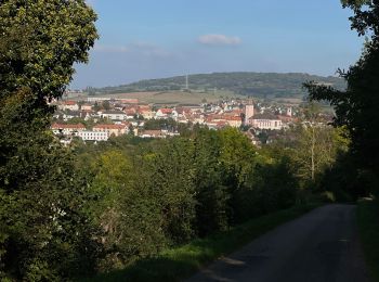 Randonnée Vélo électrique Scharrachbergheim-Irmstett -  Schrrachbergheim - COL des Pandours - Photo