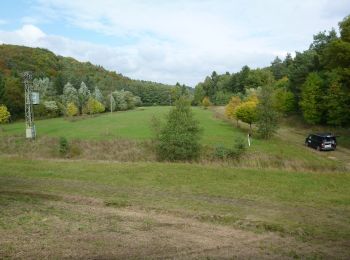 Trail On foot Dienstweiler - Rundweg HW 2 - Photo