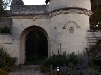 Trail Walking Le Coudray-Macouard - le coudray - Photo