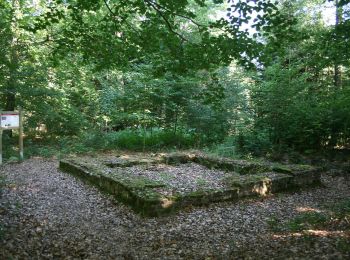 Tocht Te voet Michelstadt - Rundwanderweg Würzberg 4 : Hubenweg Würzberg - Photo