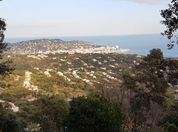 Randonnée Marche Grimaud - HAUTEURS DE BEAUVALLON - Photo