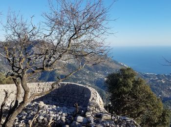 Randonnée Marche Sainte-Agnès - Sainte-Agnès (Pointe de Siricocca, Pic de Garuche et Mont Ours) - Photo