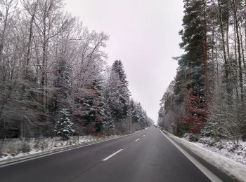 Percorso A piedi Cmolas - Świerczówka - ścieżka dydaktyczna - Photo