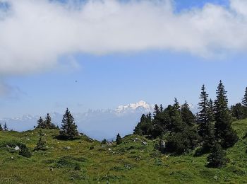 Excursión Senderismo Lélex - étape 20 : crêt de la neige - Photo