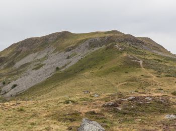 Tocht Te voet Le Claux - Les Burons - Photo