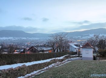 Tocht Te voet Neuffen - blaues Dreieck Neuffen - Schillingskreuz - HW1 (Kniebrech) - Photo