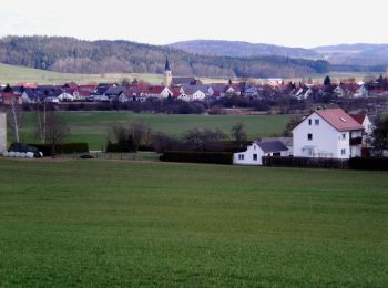 Randonnée A pied Neumarkt in der Oberpfalz - TyrolsbergerWaldrundweg - Photo