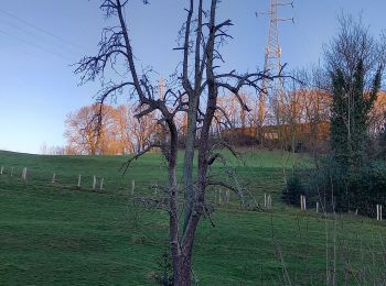 Tocht Stappen Luik - 2021-02-28_18h53m49_Boucle Bois-de-Breux les Houlpays - Photo