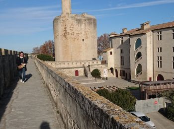 Tour Wandern Aigues-Mortes - Aigues morte  - Photo