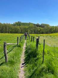 Randonnée Marche Lierneux - Lierneux ter - Photo