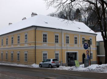 Randonnée A pied Feistritz am Wechsel - Fussweg von Feistritz - Hollabrunn (Gasthof zur schönen Aussicht) - Photo