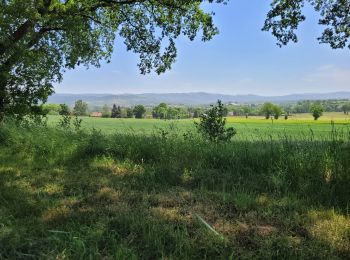 Tocht Elektrische fiets Le Puy-en-Velay - 190522 - Photo