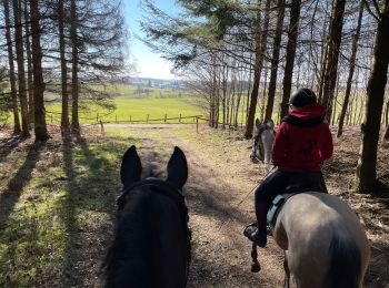 Percorso Equitazione Léglise - Légalise via Rancimont - Photo