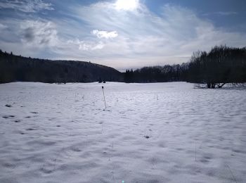 Tour Wandern Haut Valromey - les plans d automne - Photo