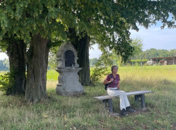 Randonnée Marche Genappe - Autour de Baisy Thy - Photo