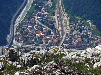 Percorso A piedi Pontebba - Sentiero Bepi della Schiava - Photo