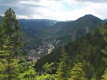 Randonnée Marche Entrevaux - Entrevaux, les lacs - Photo