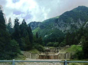 Trail On foot Forni di Sotto - IT-214a - Photo