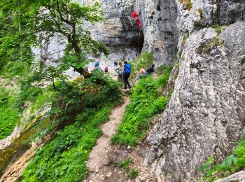 Trail Walking Saint-Pierre-de-Chartreuse - 38 chaos de bellefond arche guiers - Photo