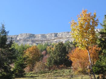 Tour Laufen Manteyer - Trail 09 - Céüze par le Pas du Loup - Photo