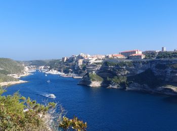 Tour Wandern Bonifacio - plages des calanques et phare - Photo