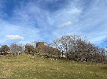 Excursión Senderismo Murol - Château de Murol, Lac charbon et dent du marais. - Photo