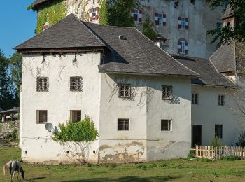 Excursión A pie Moosburg - Panoramaweg Tigring - Photo