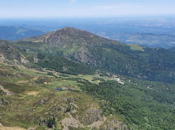 Trail Walking Montferrier - st Barthélémy  - Photo