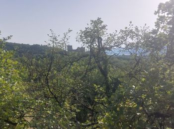 Randonnée Marche Les Tourrettes - Les Tourettes 8km5 - Photo