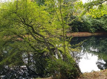 Trail Walking Auderghem - Oudergem - Rouge-Cloître - Etangs Mellaerts - Photo