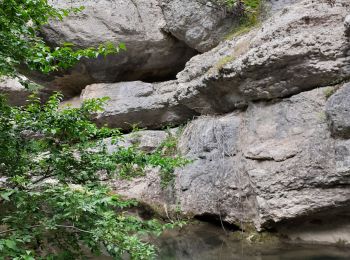 Tocht Stappen Mazaugues - Saut du Cabri gorges du Carami - Photo