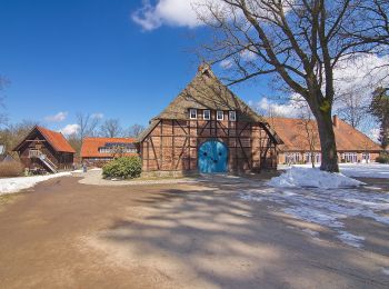 Tour Zu Fuß Südheide - Südheide 'Wo die Wölfe ihre Fährten ziehen' W9m (mittlere Tour) - Photo