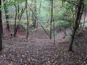 Excursión A pie Böblingen - DE-SAV Blauer Punkt, von Böblingen Lange Schläge - Thermalbadkreuzung - Photo