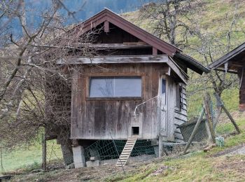 Excursión A pie Brannenburg - Wanderweg 6 - Brannenburg - Photo