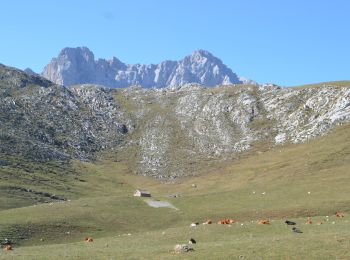 Tocht Stappen Camaleño - fuente de picos de europa - Photo