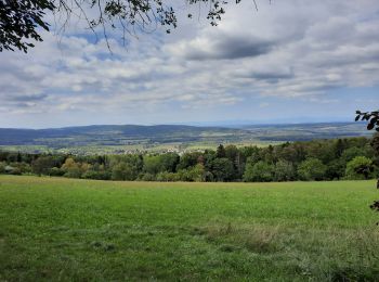 Randonnée Marche Wolschwiller - wolschwiller - Photo