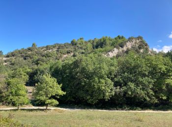 Tour Wandern Malaucène - Malaucene Groseau - Photo