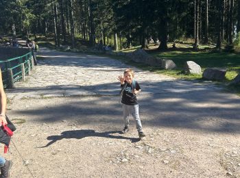 Tour sport Sulzern - Lac vert gazon du fain lac du forlet - Photo