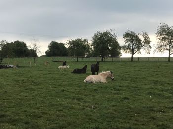 Tocht Paardrijden Fougerolles-Saint-Valbert - Balade poney 6kms - Photo